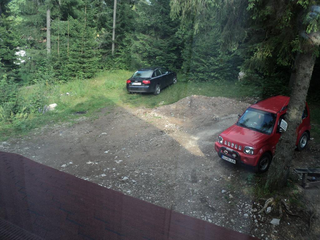 Cabana Suvenirurilor Scarisoara  Zewnętrze zdjęcie