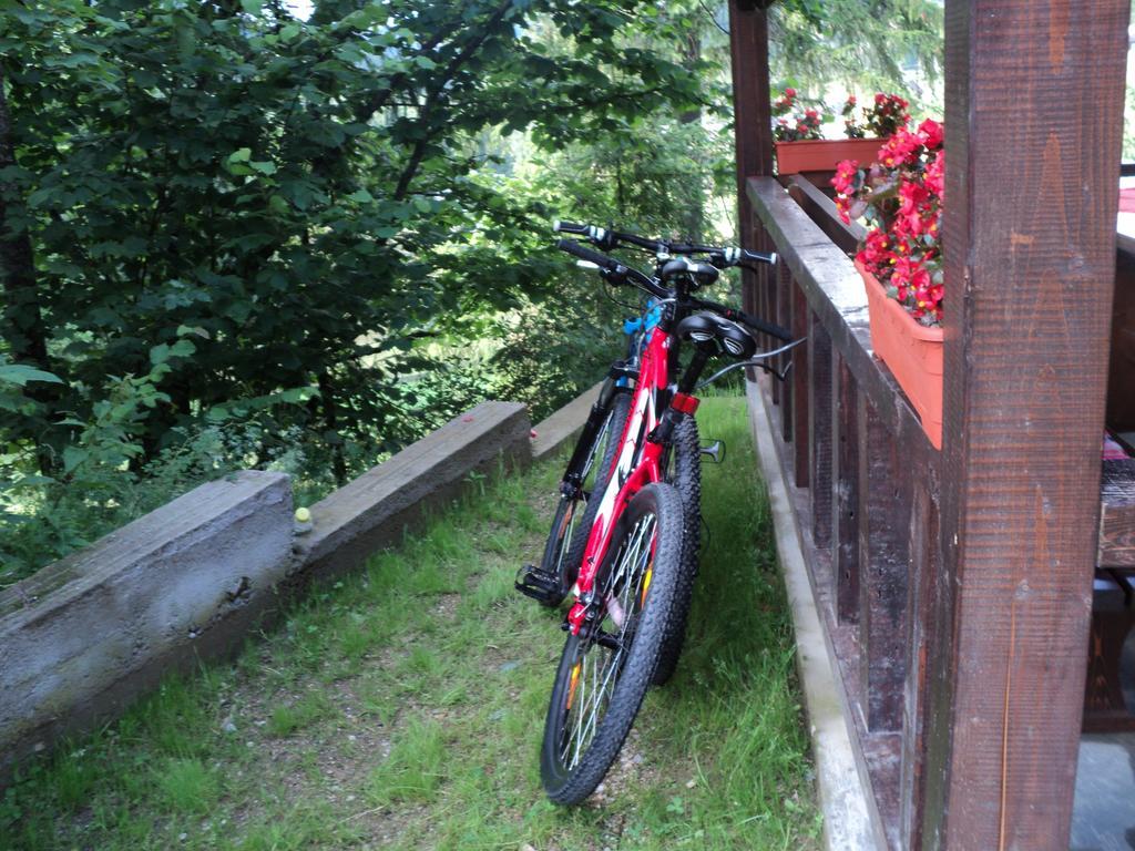 Cabana Suvenirurilor Scarisoara  Zewnętrze zdjęcie