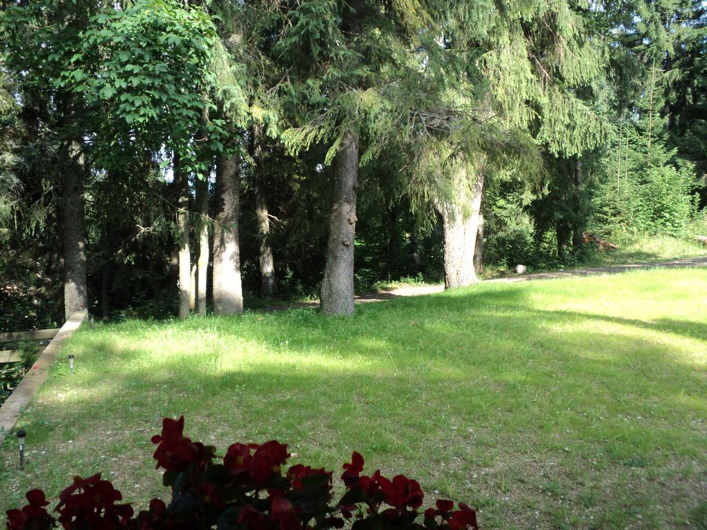 Cabana Suvenirurilor Scarisoara  Zewnętrze zdjęcie