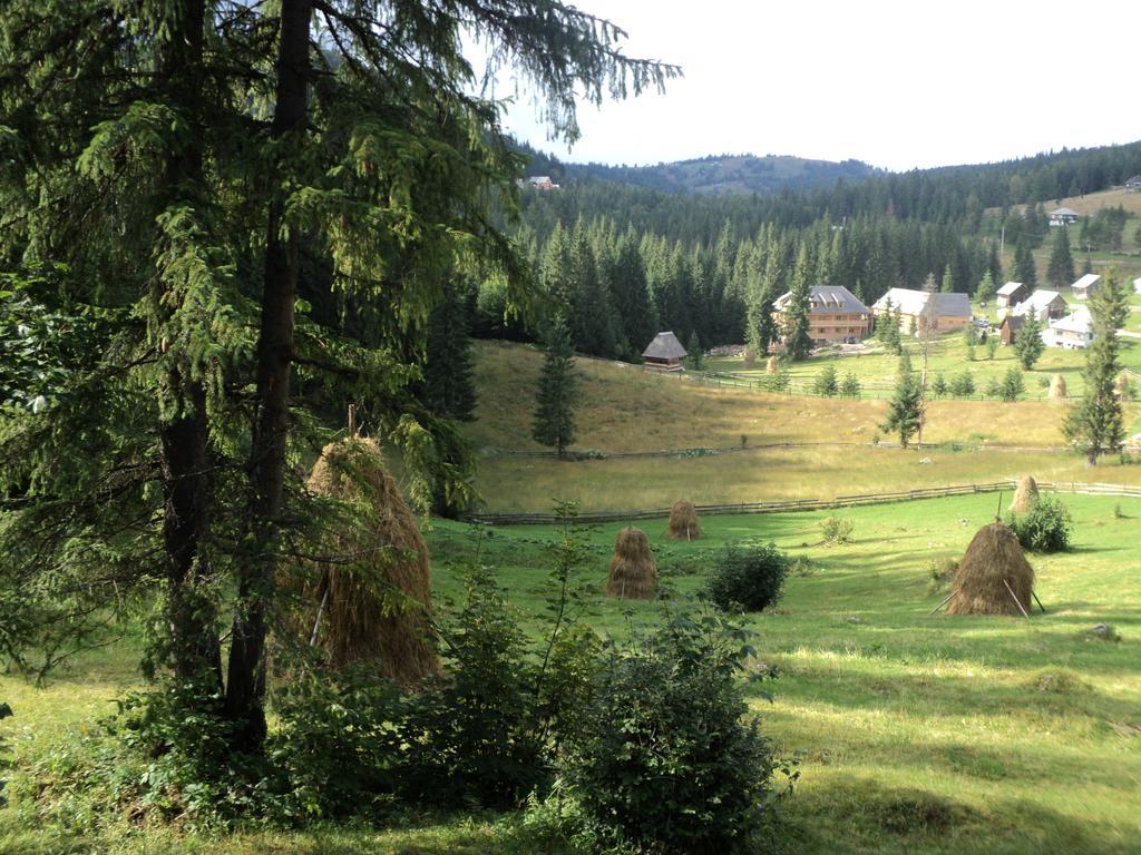 Cabana Suvenirurilor Scarisoara  Zewnętrze zdjęcie
