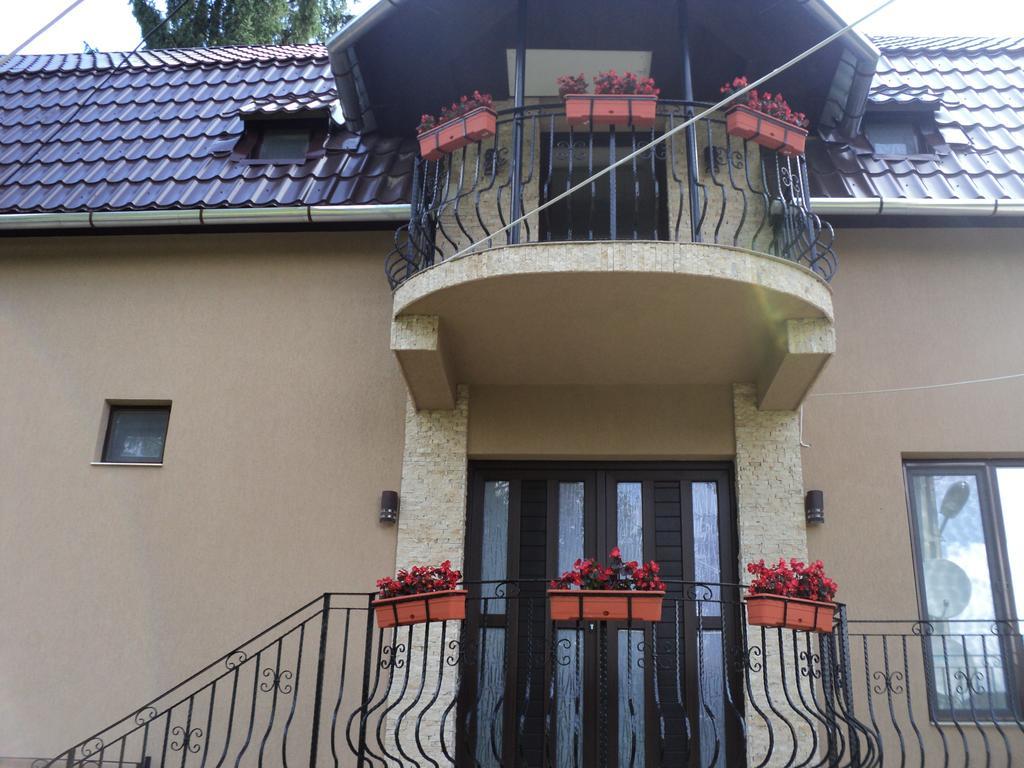 Cabana Suvenirurilor Scarisoara  Zewnętrze zdjęcie