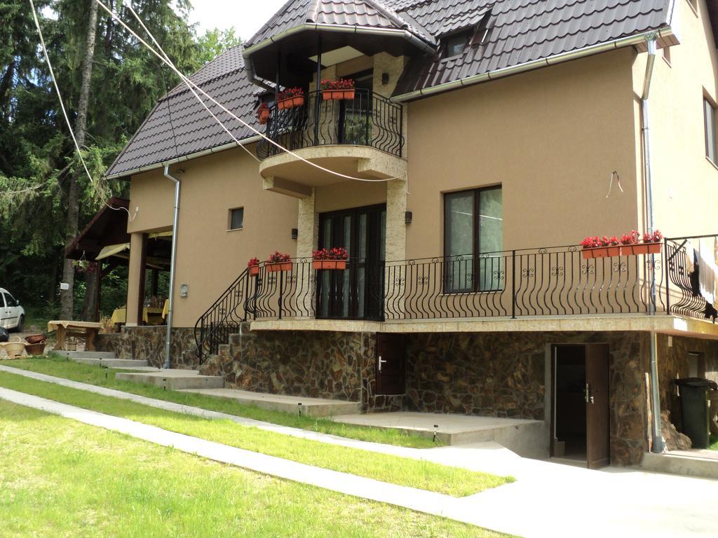 Cabana Suvenirurilor Scarisoara  Zewnętrze zdjęcie