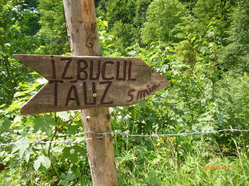 Cabana Suvenirurilor Scarisoara  Zewnętrze zdjęcie