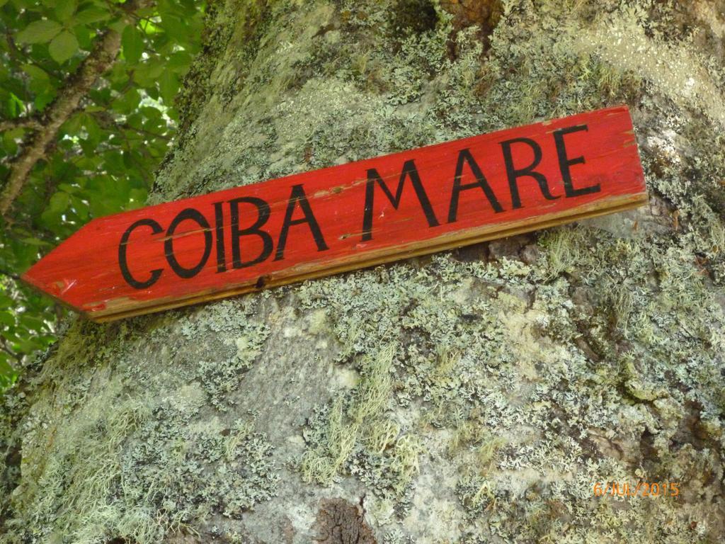 Cabana Suvenirurilor Scarisoara  Zewnętrze zdjęcie