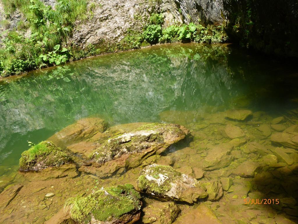Cabana Suvenirurilor Scarisoara  Zewnętrze zdjęcie